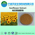 GMP chinese sunflower seeds extract/sunflower powder/sunflower seeds oil extract